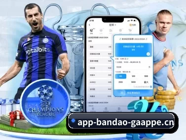 半岛电竞 APP